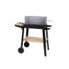 Wadiga Barbecues Et Planchas Barbecue Tourne Broche Sur Roulettes