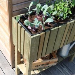 Jardipolys Rangements Extérieur Carré Potager Sur Pieds 3 Bacs En Pin 5 Jardipolys Rangements Extérieur Carré Potager Sur Pieds 3 Bacs En Pin -France Parasols Soldes 2022 carre potager sur pieds 3 bacs en pin 2