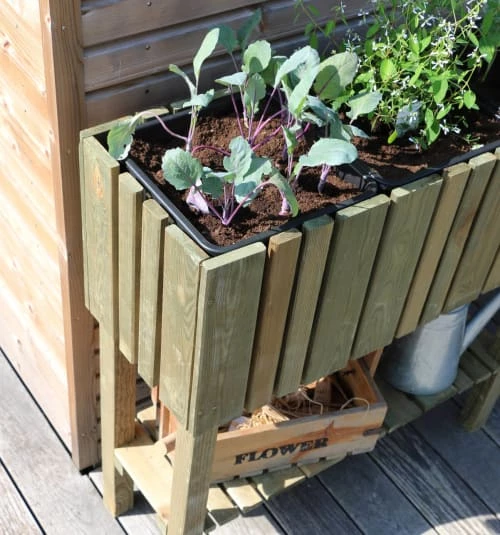 Jardipolys Rangements Extérieur Carré Potager Sur Pieds 3 Bacs En Pin 3 Jardipolys Rangements Extérieur Carré Potager Sur Pieds 3 Bacs En Pin – Image 3