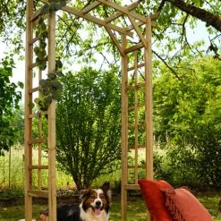 Jardipolys Pergolas Et Tonnelles Pergola De Jardin En Pin -France Parasols Soldes 2022 pergola de jardin en pin 2